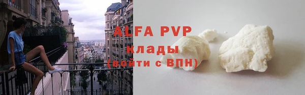 прущий лед Бородино