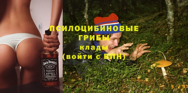 не бодяженный Богданович