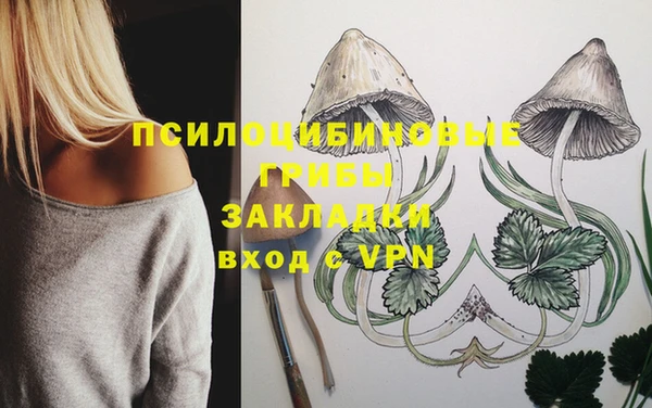 не бодяженный Богданович