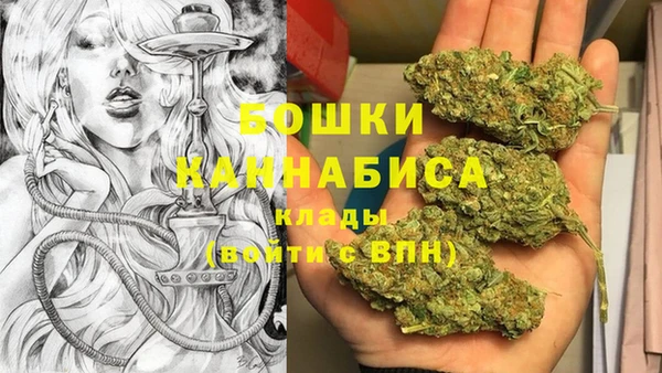 хмурый Бронницы