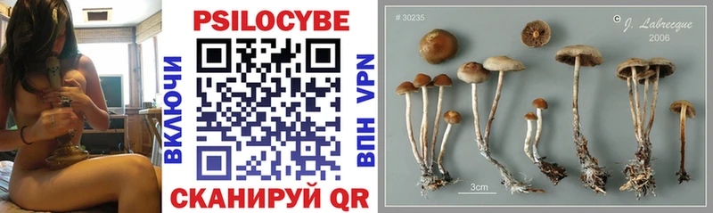 Псилоцибиновые грибы MAGIC MUSHROOMS  Гремячинск 